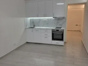 Pronájem bytu 1+kk, Praha - Vinohrady, Nad olšinami, 27 m2