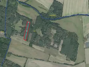 Prodej lesa, Sokoleč, 9084 m2