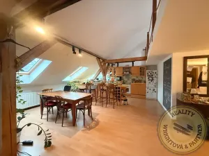 Prodej atypického bytu, Praha - Košíře, Plzeňská, 178 m2