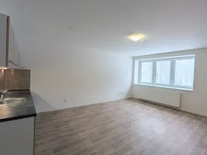 Pronájem bytu 2+kk, Peruc, U Koupaliště, 59 m2