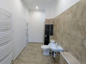 Pronájem bytu 2+kk, Peruc, U Koupaliště, 42 m2