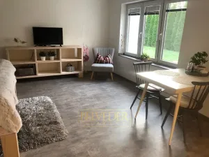 Pronájem bytu 1+kk, Teplice, Rokle, 32 m2