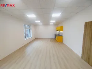 Pronájem bytu 2+kk, Ostrava - Mariánské Hory, U Vodojemu, 88 m2