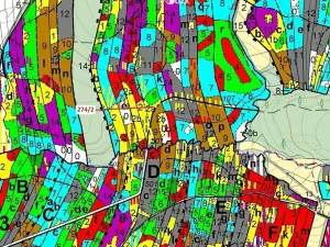 Dražba lesa, Psárov, 5348 m2