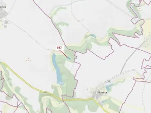 Dražba lesa, Mladoňovice, 2344 m2