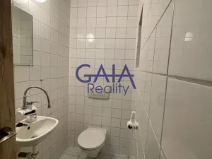 Pronájem obchodního prostoru, Veselí nad Moravou, Zámecká, 184 m2