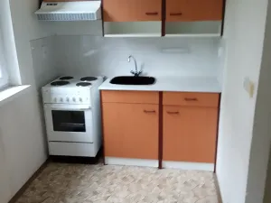 Pronájem bytu 1+1, Děčín, Dvořákova, 33 m2