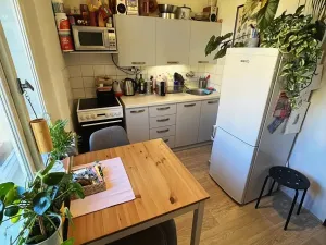 Pronájem bytu 1+1, Praha - Podolí, Na dolinách, 31 m2