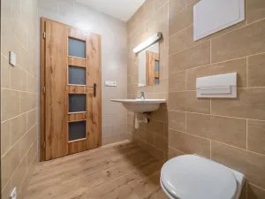 Pronájem bytu 2+kk, Plzeň, Dvorní, 43 m2