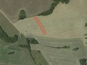 Prodej pole, Ostrov u Macochy, 16065 m2