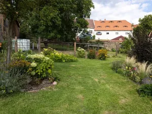 Prodej vícegeneračního domu, Bžany, 240 m2