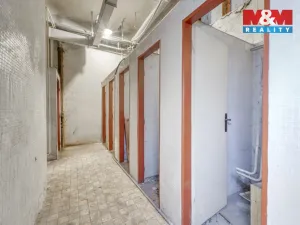 Pronájem skladu, Plzeň - Jižní Předměstí, Husova, 70 m2