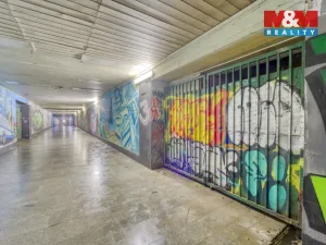 Pronájem skladu, Plzeň - Jižní Předměstí, Husova, 70 m2