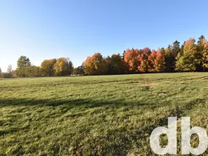 Prodej pozemku pro bydlení, Nová Role, 43224 m2