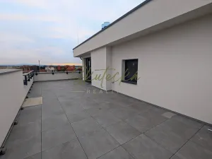 Pronájem bytu 3+kk, Hodonín, 150 m2