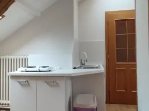 Pronájem bytu 1+kk, Praha - Krč, Moysesova, 40 m2