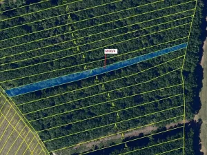 Dražba lesa, Archlebov, 2108 m2