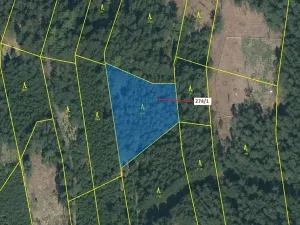 Dražba lesa, Psárov, 2949 m2