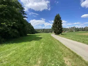 Dražba pole, Boňkov, 3466 m2