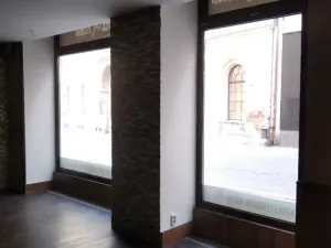 Pronájem obchodního prostoru, Brno, Jánská, 77 m2