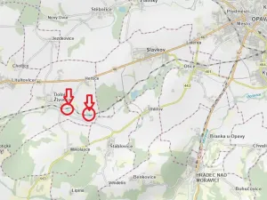 Prodej lesa, Dolní Životice, 2675 m2