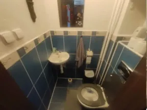 Dražba rodinného domu, Frýdek-Místek, Palkovická, 187 m2