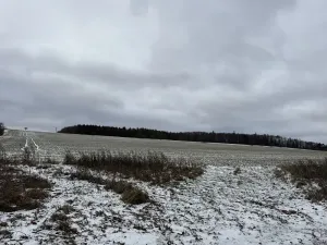 Dražba pole, Vyškov, 89174 m2