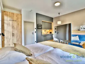 Prodej bytu 1+kk, Černý Důl, 39 m2