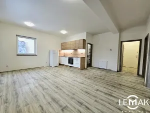 Pronájem bytu 3+kk, Těšetice, 64 m2