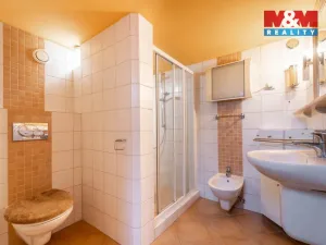 Prodej obchodního prostoru, Bechyně, 340 m2