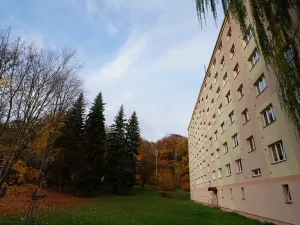 Prodej bytu 2+1, Chomutov, Václavská, 51 m2