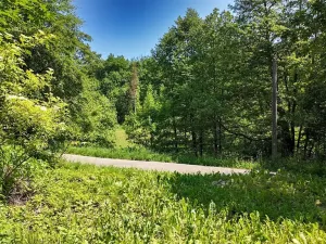 Prodej pozemku pro bydlení, Rokytnice v Orlických horách, 271 m2