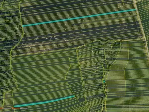 Prodej pole, Hradčovice, 19465 m2