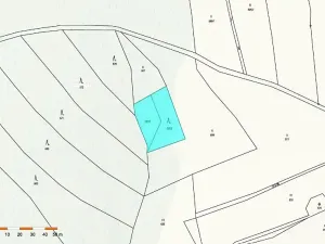 Prodej lesa, Vyskytná nad Jihlavou, 1283 m2