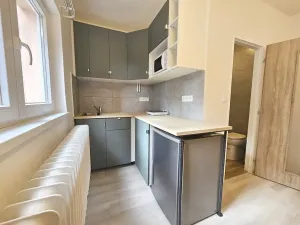 Pronájem bytu 1+kk, Praha - Břevnov, Pod Marjánkou, 15 m2