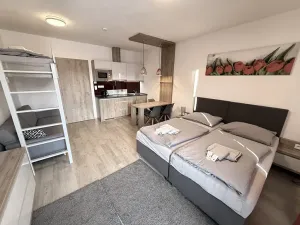 Prodej apartmánu, Dolní Morava, 54 m2