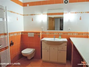 Pronájem pokoje, Brno, Marie Hübnerové, 23 m2