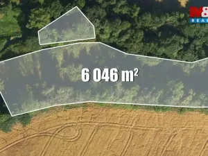 Prodej louky, Bílá - Hradčany, 6046 m2