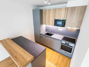 Prodej bytu 3+kk, Praha - Žižkov, U Viktorie, 69 m2