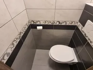 Pronájem bytu 2+1, Jihlava, Kosovská, 54 m2