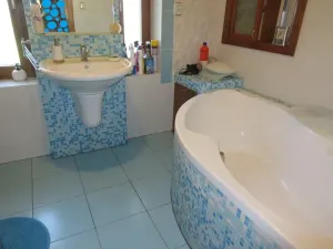 Prodej rodinného domu, Písek, 298 m2