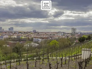 Prodej bytu 3+kk, Praha - Vršovice, Francouzská, 95 m2