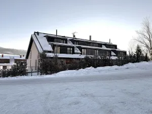 Prodej bytu 1+kk, Dolní Morava - Velká Morava, 54 m2