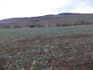 Prodej pozemku, Morkůvky, 6867 m2