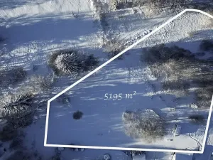 Prodej pozemku pro bydlení, Strážný, 5195 m2