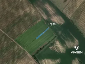 Prodej pole, Prušánky, 1175 m2