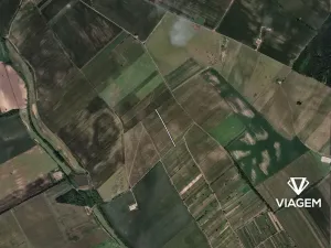 Prodej pole, Prušánky, 1303 m2