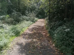 Prodej pozemku pro bydlení, Drevníky, 787 m2