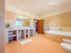 Prodej rodinného domu, Mazelov, 220 m2