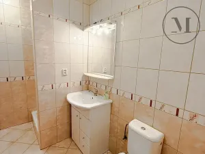 Pronájem výrobních prostor, Lišov, Miletínská, 1000 m2